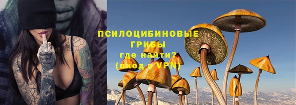 PSILOCYBIN Балахна
