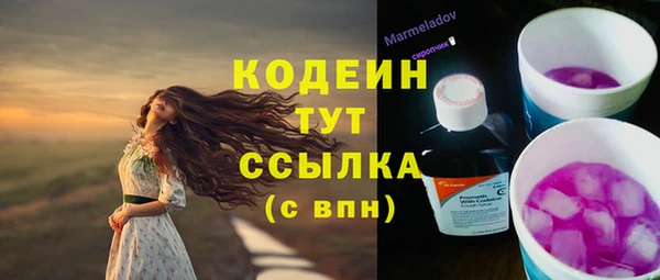 мяу мяу мука Баксан