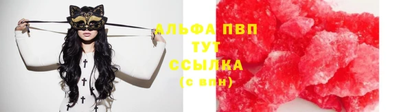 PSILOCYBIN Балахна