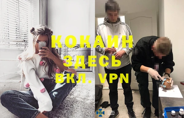 мяу мяу мука Баксан