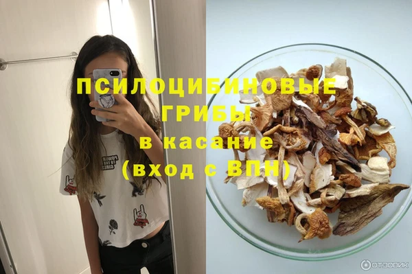 мяу мяу мука Баксан