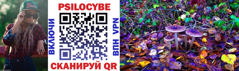 наркошоп Семикаракорск Псилоцибиновые грибы Psilocybine cubensis